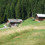 Pfandler Alm